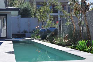 To Let 3 Bedroom Property for Rent in Newlands Western Cape